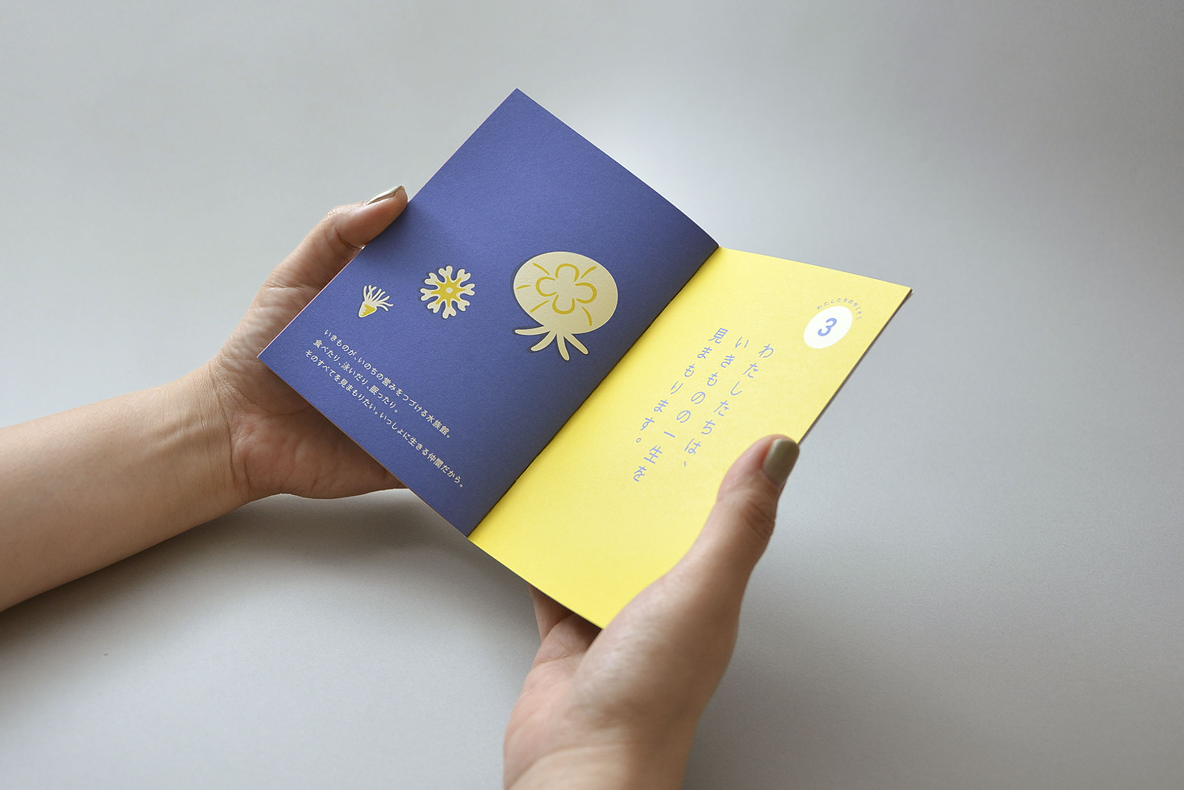 わたしたちのやくそく