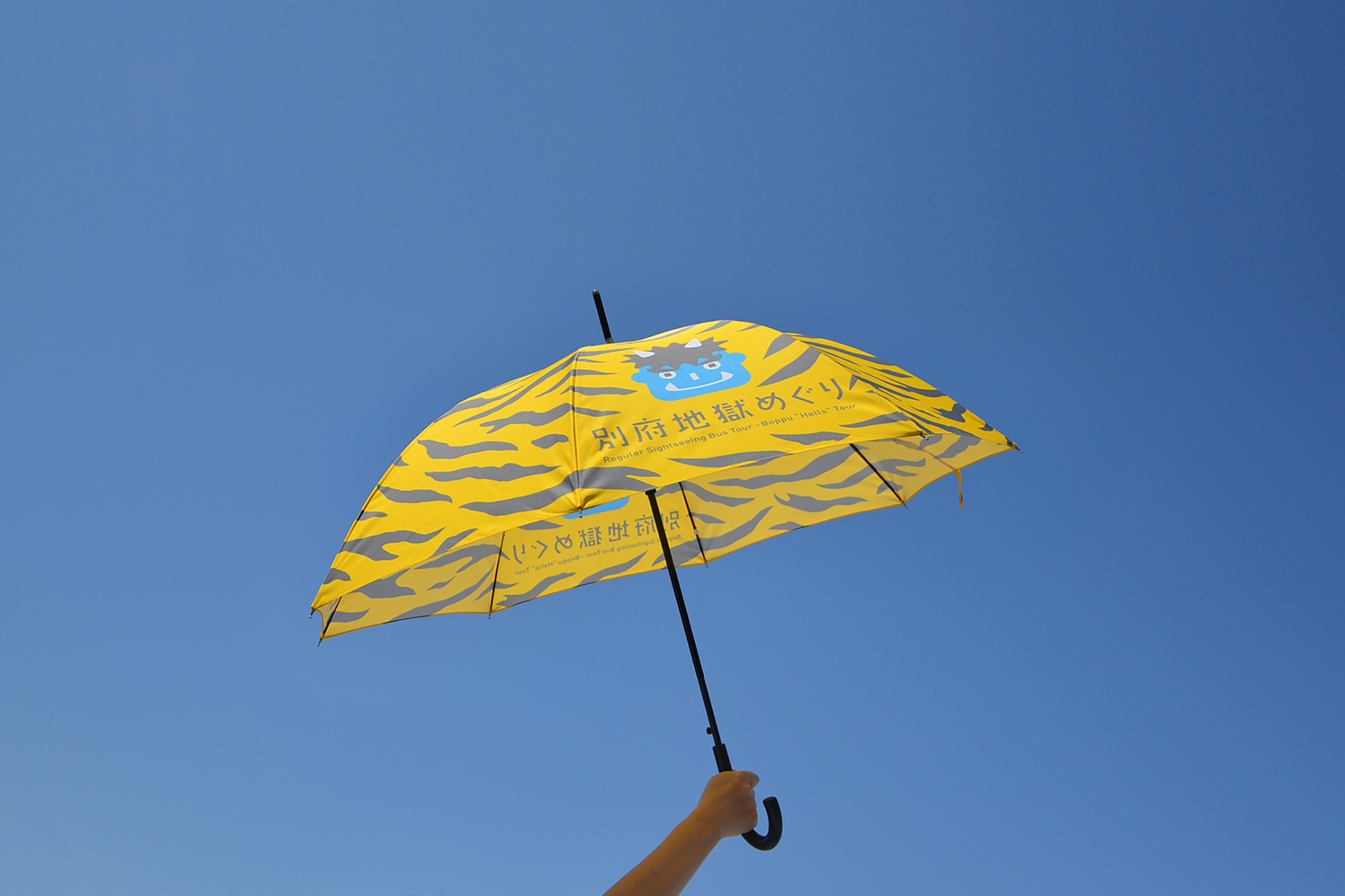 定期観光バス　別府地獄めぐり